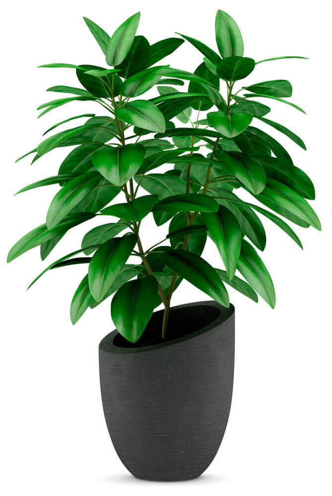 Bright green indoor plant in grey plant pot