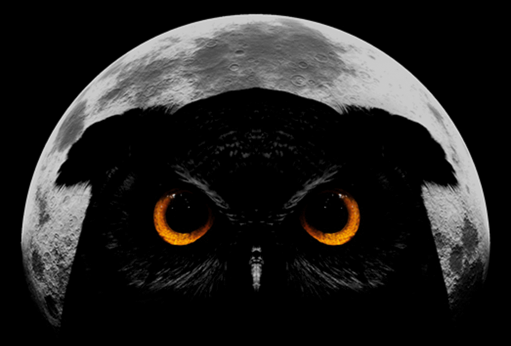 A dark owl with big orange eyes in front of the moon