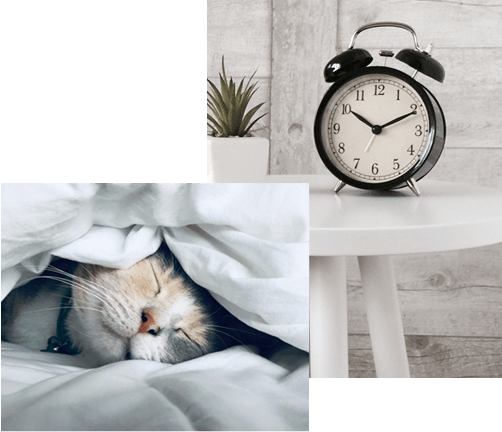 A photo collage of a cat sleeping in a bed and an alarm clock on a table