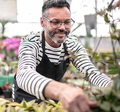 Gardner arranging plants