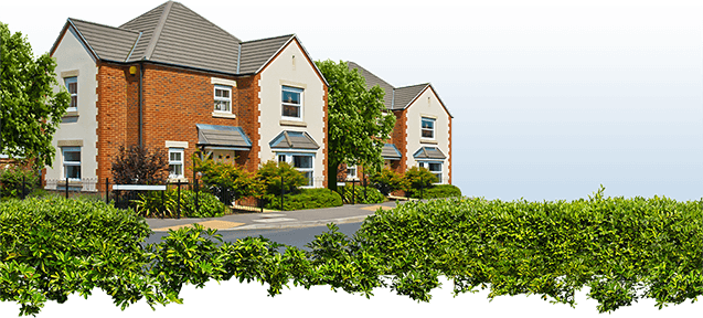 Two secure houses on a street with trees