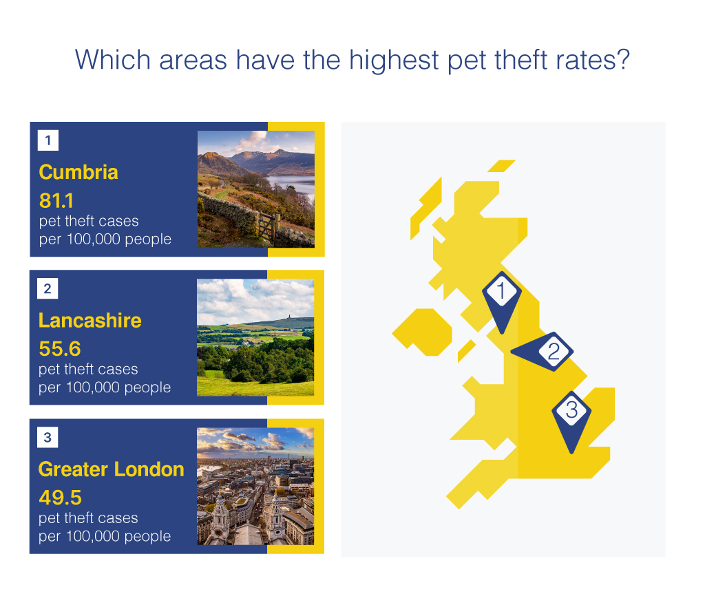 Which areas have the highest pet theft rates?