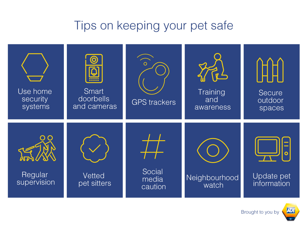tips on keeping your pet safe