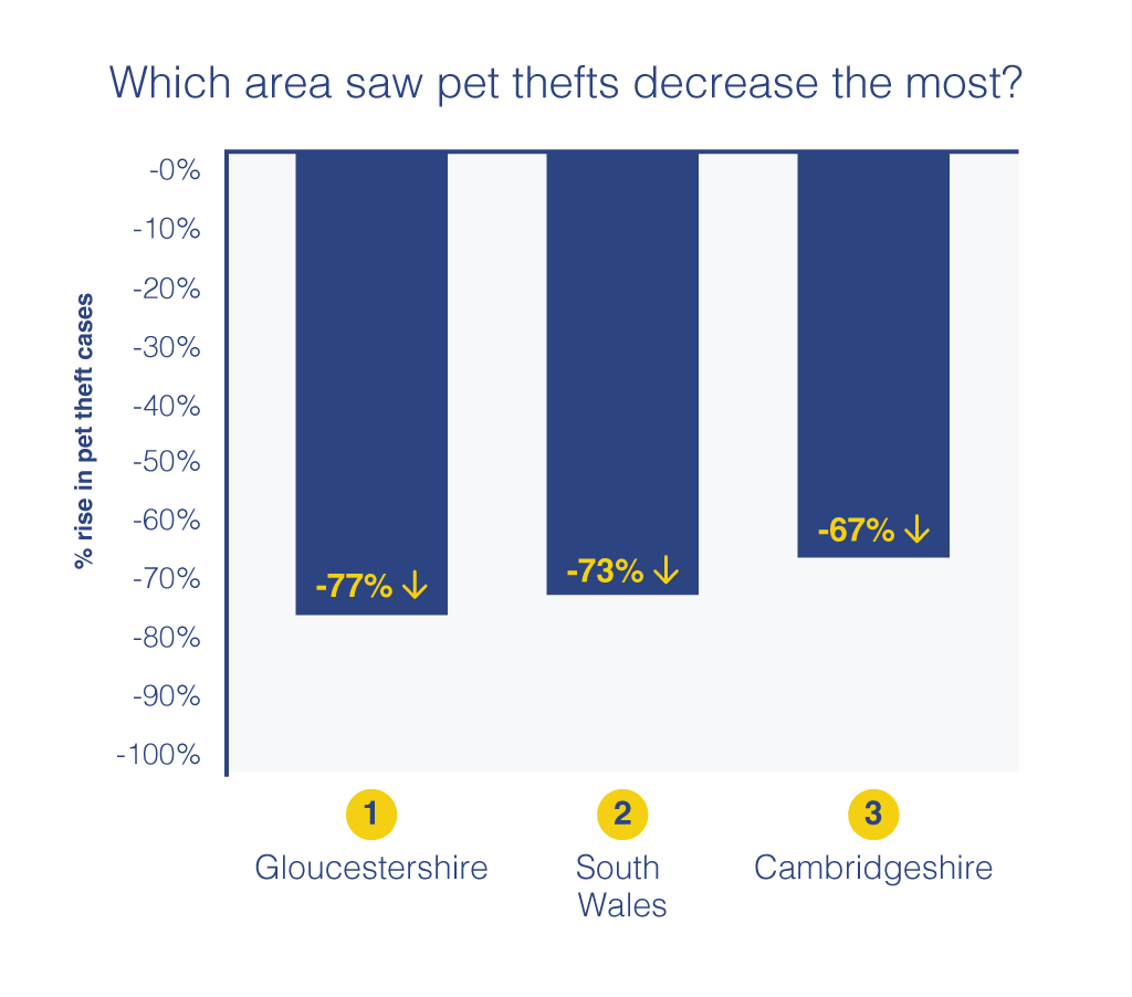 Which area saw pet thefts decrease the most?