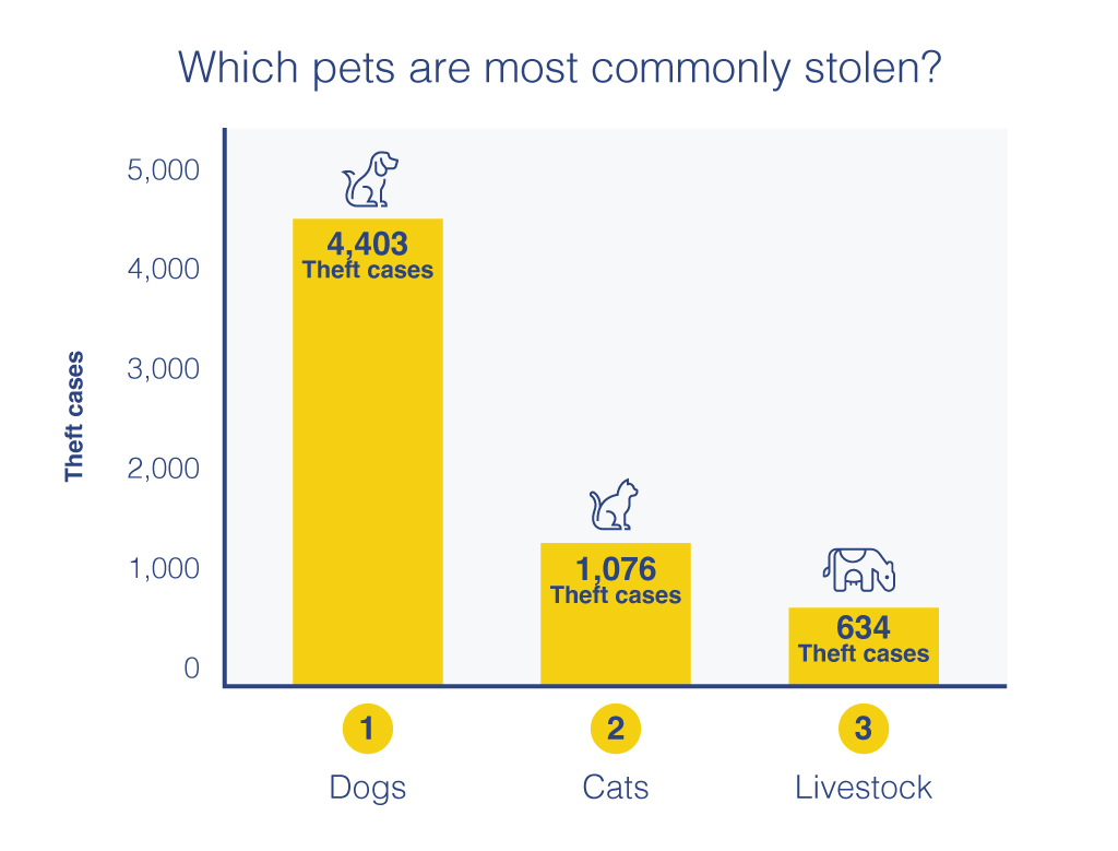 which pets are most commonly stolen?