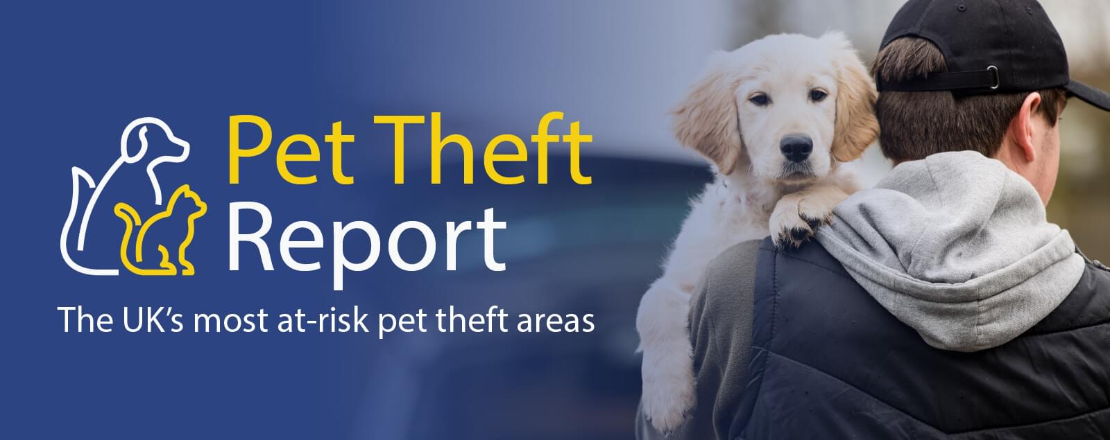 Pet Theft Report title and logo alongside a man with his back turned holding a dog over his shoulder