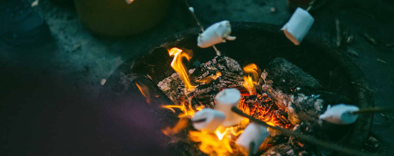 Roasting marshmallows over fire