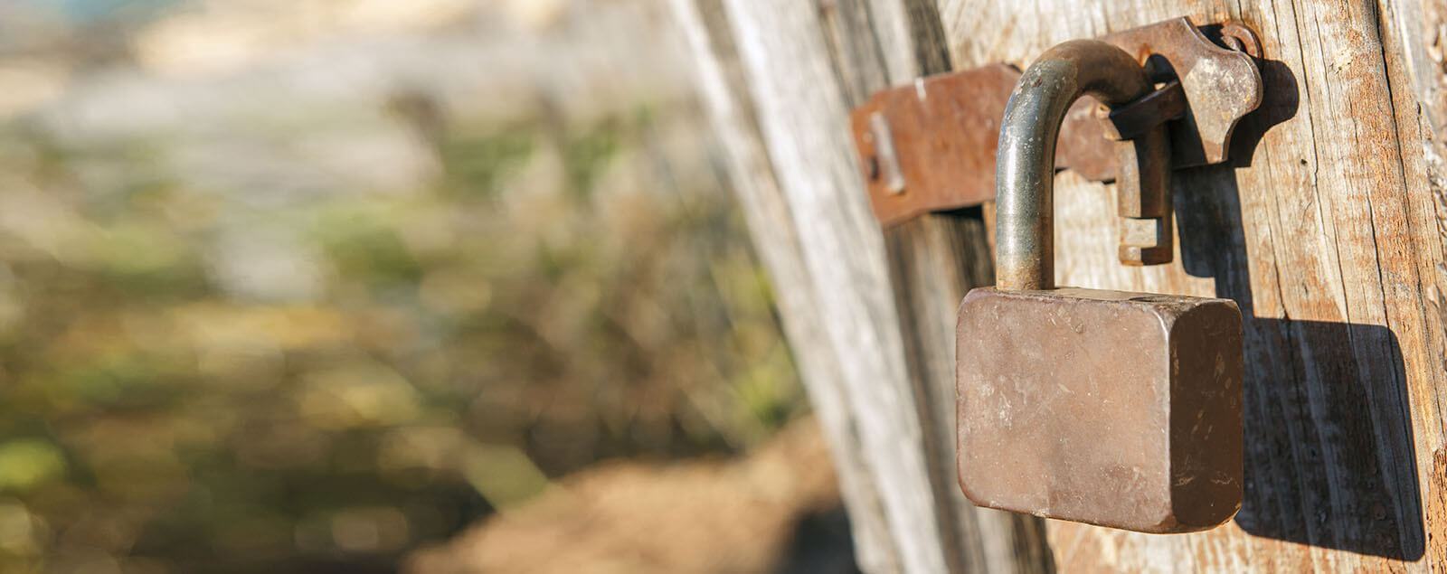 Padlock on shed