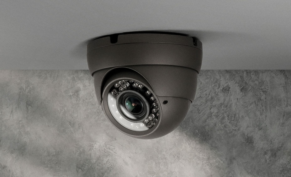 Ceiling-mounted security camera and light