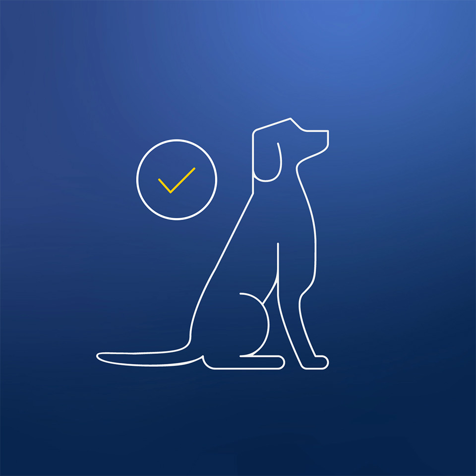 Dog and tick icon