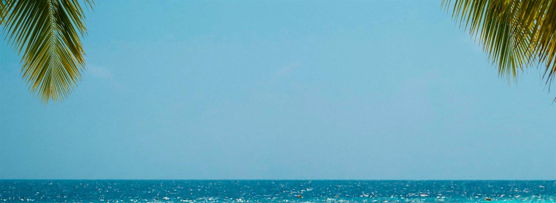 Sea and palm trees background header