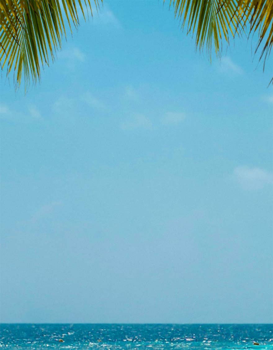 Sea and palm trees background header