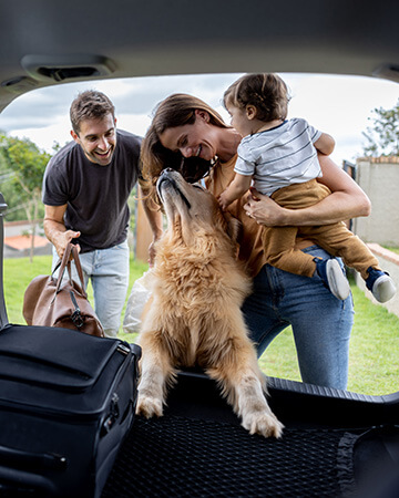 Car boot shot of family packing car and dog with front paws over boot lip