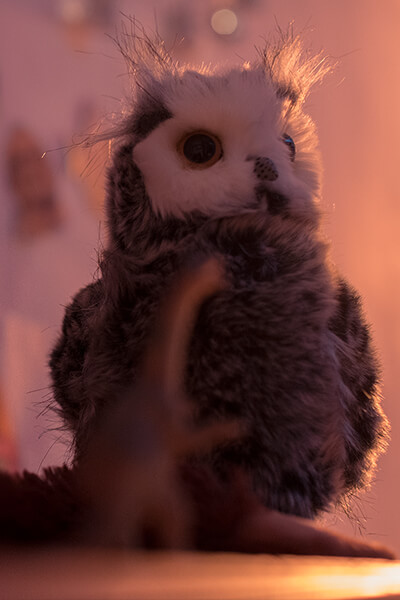 Plush owl toy