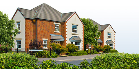 Houses on white background